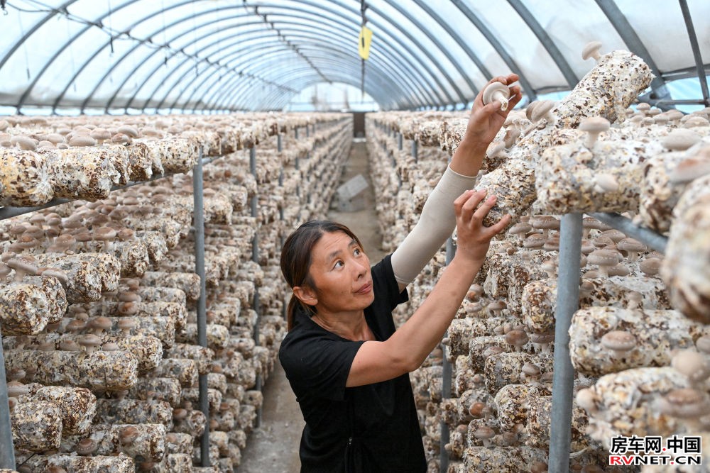 铭记历史 缅怀先烈|从“红色堡垒”到“幸福山乡”——晋察冀根据地首府阜平振兴观察 铭记历史 缅怀先烈|从“红色堡垒”到“幸福山乡”——晋察冀根据地首府阜平振兴观察