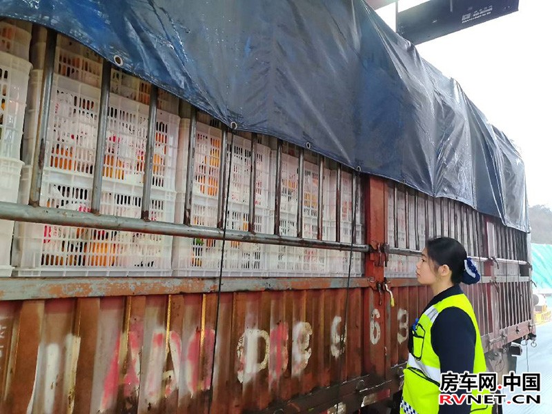房车网 1月4日,满载资中血橙的大货车通过资中西收费站,收费人员对车辆所载货物种类进行检查。蔡林宏供图