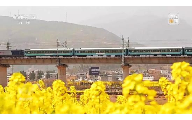 银发旅游列车成老年旅客出行新宠