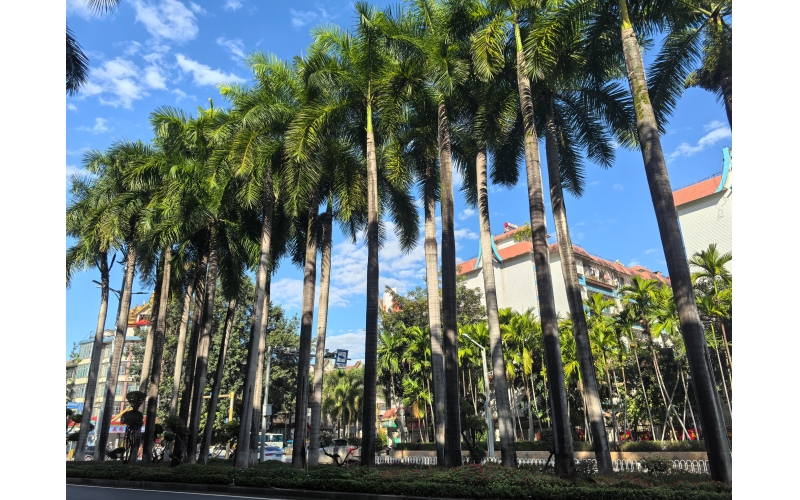 云南西双版纳傣族自治州景洪市街景