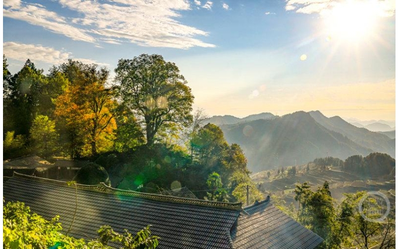 图片 冬趣（97）｜上游主题摄影征稿作品展&mdash;&mdash;何毅作品