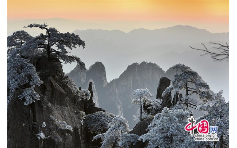 图片 黄山雪后云海日出同框 宛如多彩画卷(图)